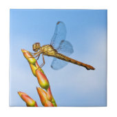 mijl achter me tegeltje (Voorkant)