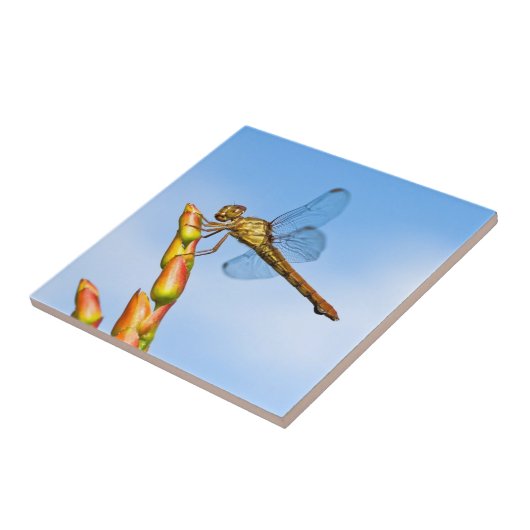 mijl achter me tegeltje (Zijkant)