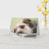 Mijlen het Nadenken Kaart (Gele Bloem)