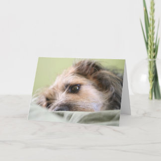 Mijlen het Nadenken Kaart