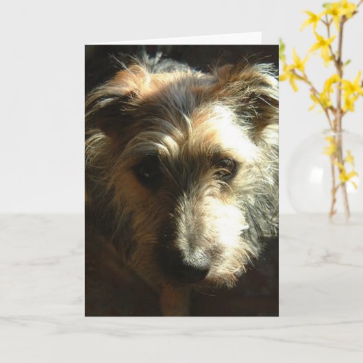 Mijlen Kaart (Gele Bloem)