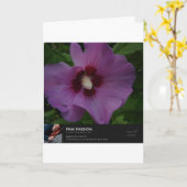 mijlen uit elkaar kaart (Gele Bloem)