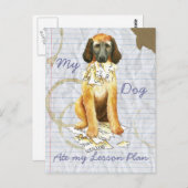 Mijn Afghaanse hond op mijn Lesson Plan Briefkaart (Voorkant / Achterkant)