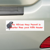 Mijn Afrikaanse grijze papegaai... Bumpersticker (Op auto)