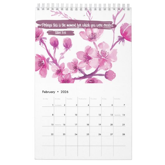 Mijn agenda voor scripts kalender (Feb 2026)