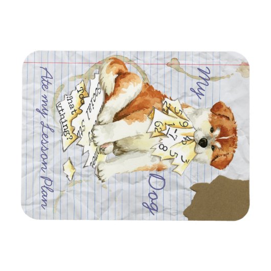 Mijn Akita Ate Mijn Lesson Plan Magneet (Horizontaal)