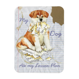 Mijn Akita Ate Mijn Lesson Plan Magneet