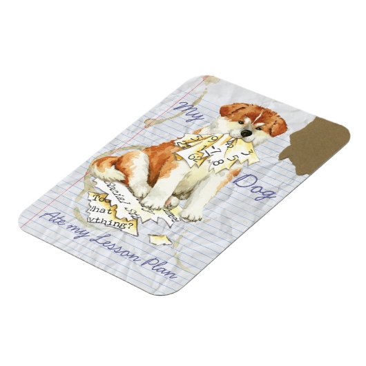 Mijn Akita Ate Mijn Lesson Plan Magneet (Linkerzijde)