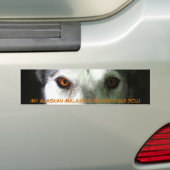 Mijn Alaskan Malamute Bumpersticker (Op auto)