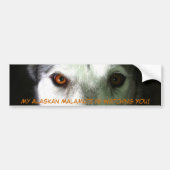 Mijn Alaskan Malamute Bumpersticker (Voorkant)