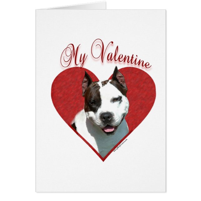 Mijn AmStaff Valentijn (Voorkant)