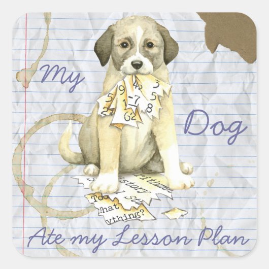 Mijn Anatolian Ate Mijn Lesson Plan Vierkante Sticker (Voorkant)