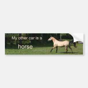 Mijn andere auto is een paard bumpersticker