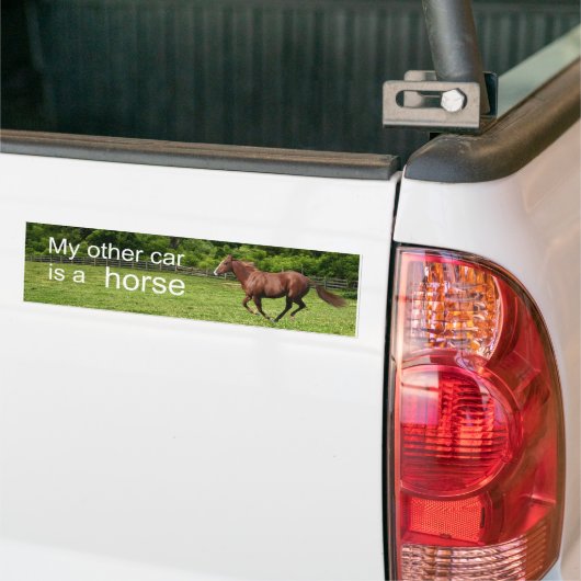 Mijn andere auto is een paard bumpersticker (Op Truck)