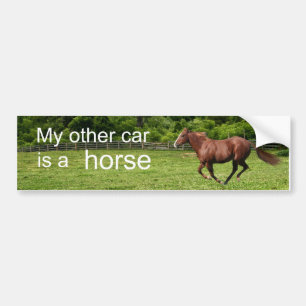 Mijn andere auto is een paard bumpersticker