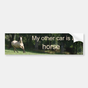 Mijn andere auto is een paard bumpersticker