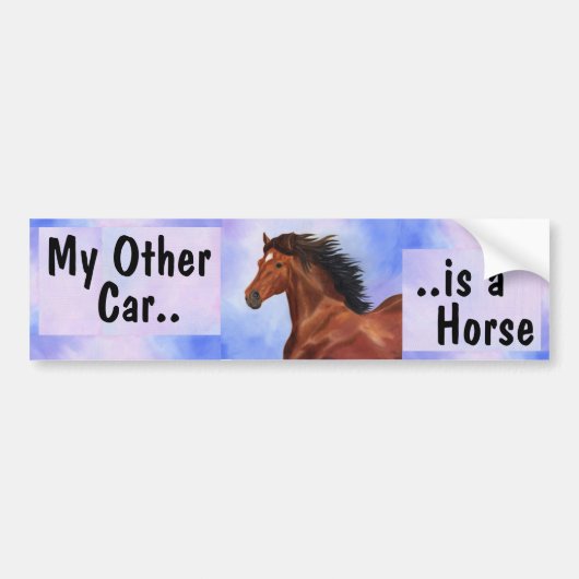 Mijn andere auto is een paardenbumper sticker (Voorkant)
