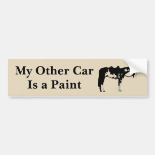 Mijn Andere Auto Is Een Verf Bumpersticker