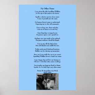 Mijn andere naam Poetry Poster