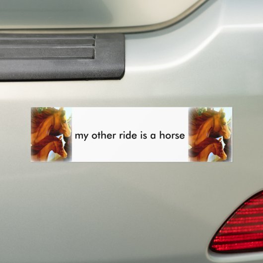 mijn andere rit is een paard bumpersticker (Op auto)