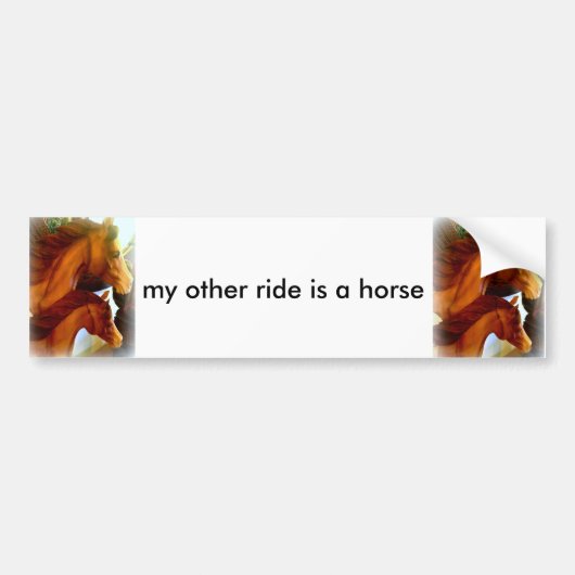 mijn andere rit is een paard bumpersticker (Voorkant)
