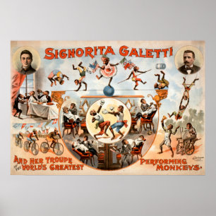 Mijn apen niet mijn Circus Vintage Poster