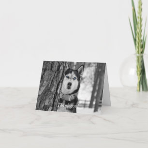 Mijn Baby Blue Eyes Bedankkaart