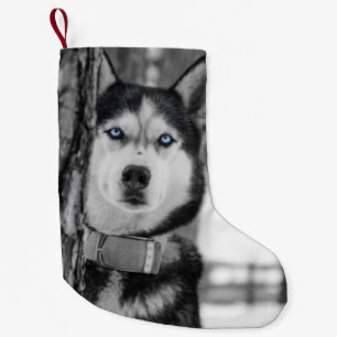 Mijn baby Blue Eyes kerstaking Kleine Kerstsok