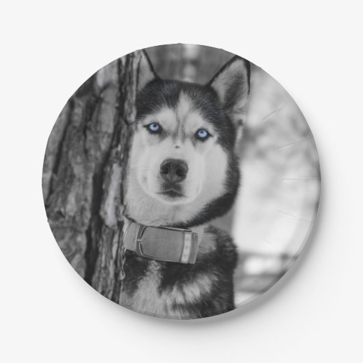 Mijn Baby Blue Eyes Papieren Bordje (Voorkant)