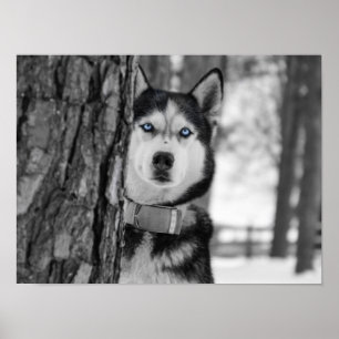 Mijn Baby Blue Eyes Poster