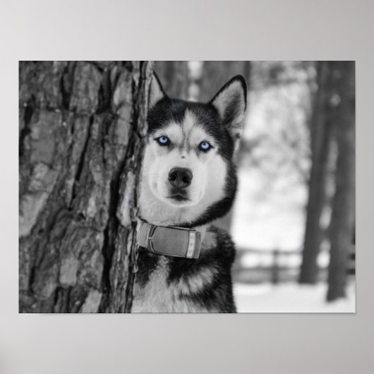 Mijn Baby Blue Eyes Poster (Voorkant)