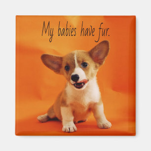Mijn baby's hebben bont een hond, schattige puppy' magneet