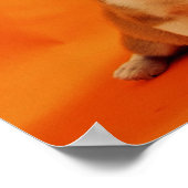 Mijn baby's hebben een pelshond, schattige puppies poster (Hoek)