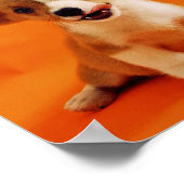 Mijn baby's hebben een pelshond, schattige puppies poster (Hoek)