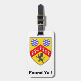 Mijn bagage persoonlijke Laois County ID-label. Bagagelabel