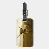 Mijn  Bagagelabel van het Leven - Texas Longhorn S (Voorkant verticaal)