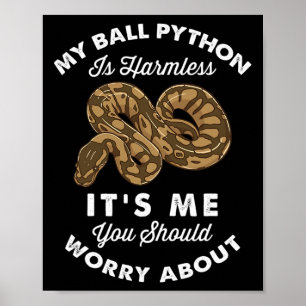 Mijn bal Python is onschuldig... het is mij dat je Poster