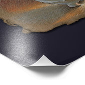 Mijn banaan, fotoafdrukken foto afdruk (Hoek)