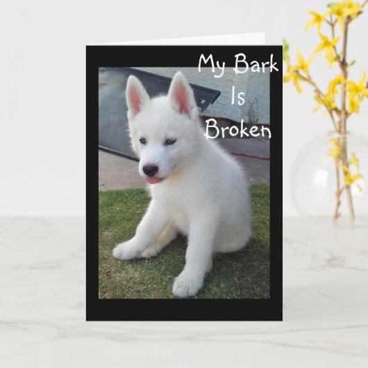 MIJN BARK BROKE VAN HOWLING DAT IK "JOU" MIST KAART (Gele Bloem)