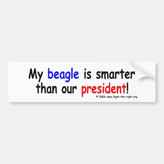 Mijn beagle is slimmer dan ons President Bumpersticker (Voorkant)