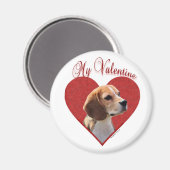 Mijn Beagle Valentijn Magneet (Voorkant / Achterkant)