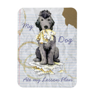 Mijn Bedlington Terrier Ate My Lesson Plan Magnet Magneet