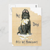 Mijn Belgische Sheepdog Ate Mijn thuiswerk Briefkaart (Voorkant / Achterkant)