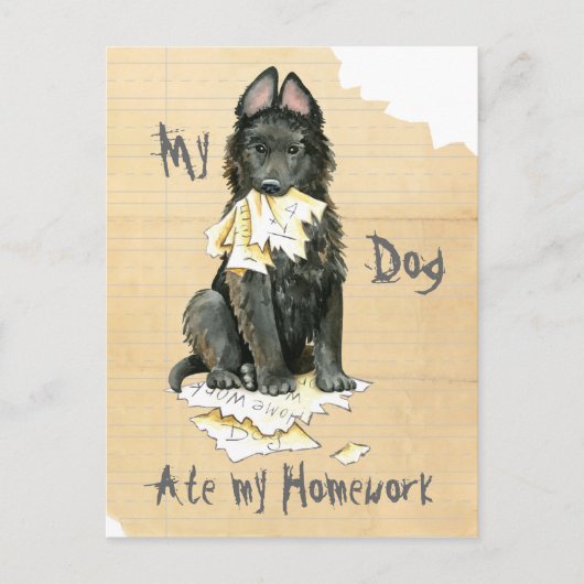 Mijn Belgische Sheepdog Ate Mijn thuiswerk Briefkaart (Voorkant)