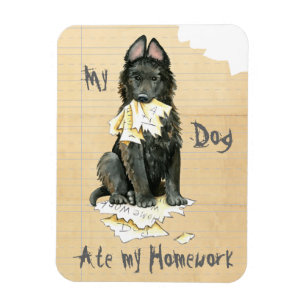 Mijn Belgische Sheepdog Ate Mijn thuiswerk Magneet