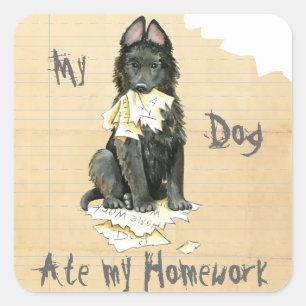 Mijn Belgische Sheepdog Ate Mijn thuiswerk Vierkante Sticker