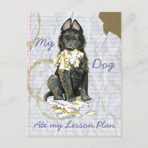 Mijn Belgische Sheepdog Ate My Lesson Plan Briefkaart
