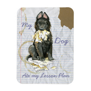 Mijn Belgische Sheepdog Ate My Lesson Plan Magneet