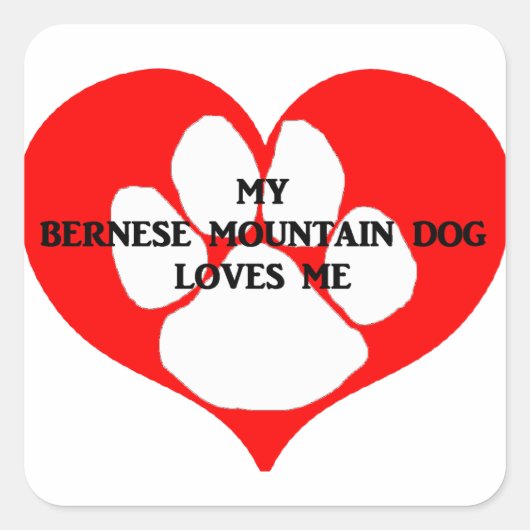 Mijn Berner Sennenhond houdt van me Vierkante Sticker (Voorkant)