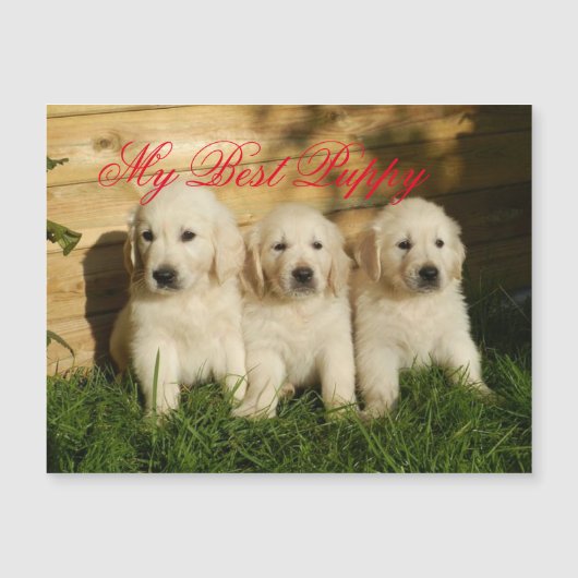 Mijn beste puppy (Voorkant)